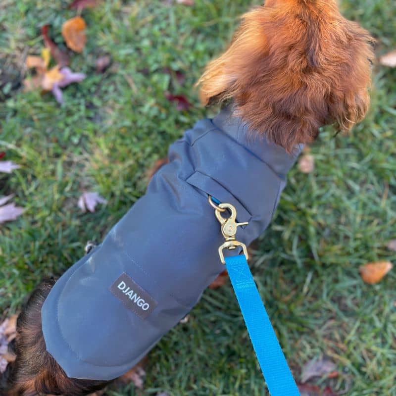 Doudoune Réversible pour Chien Django - Bleu et Carreaux Verts