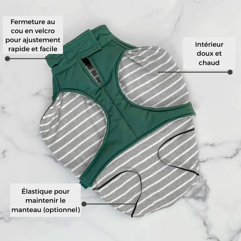 Manteau Émeraude pour Chien - Style et Confort Hivernal