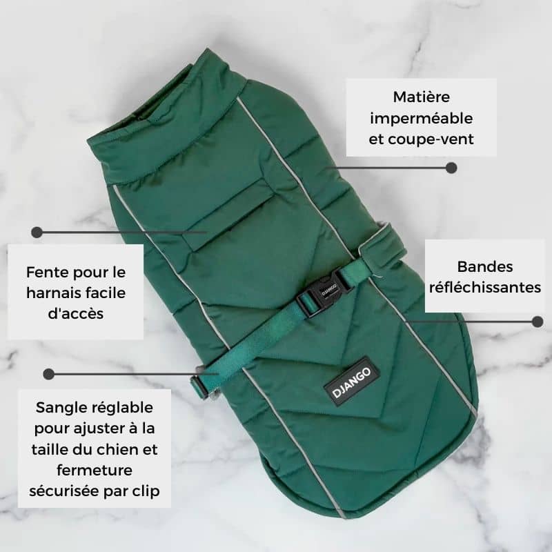 Manteau Émeraude pour Chien - Style et Confort Hivernal