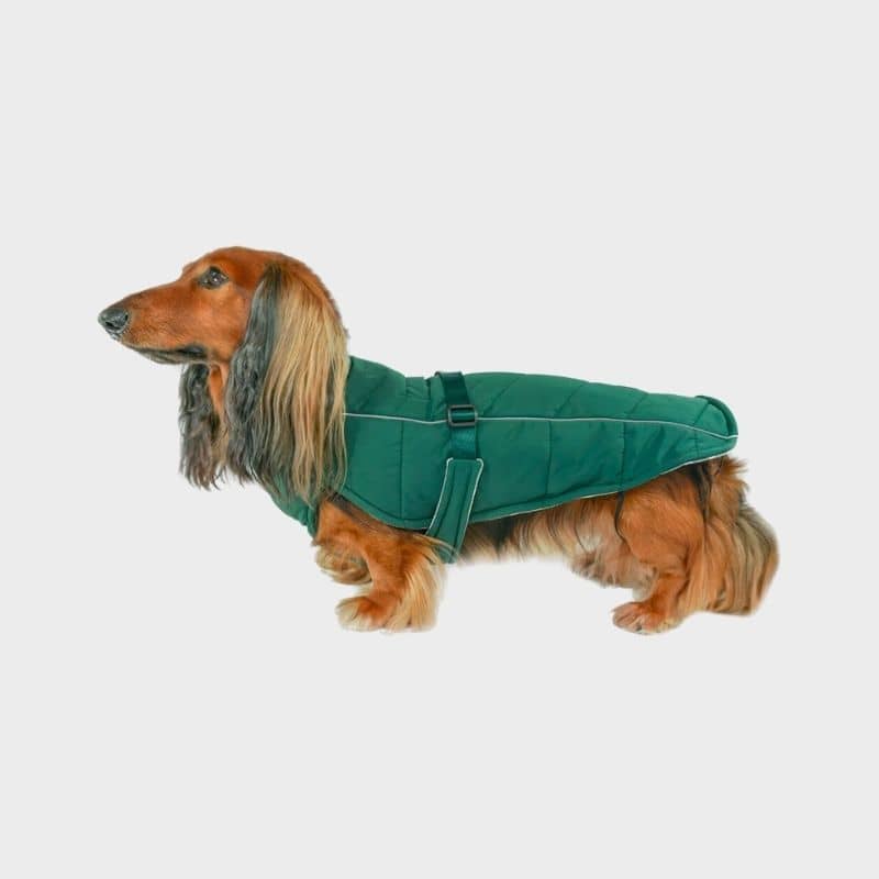 Manteau Émeraude pour Chien - Style et Confort Hivernal