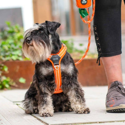 Comfort Walk Air ™ Dog Harness - Orange *Ny design *