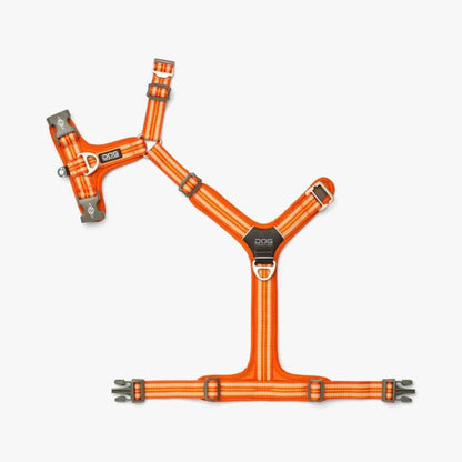 Comfort Walk Air ™ Dog Harness - Orange *Ny design *