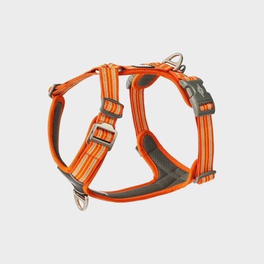 Comfort Walk Air ™ Dog Harness - Orange *Ny design *