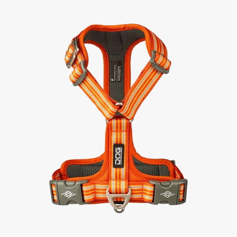 Comfort Walk Air ™ Dog Harness - Orange *Ny design *