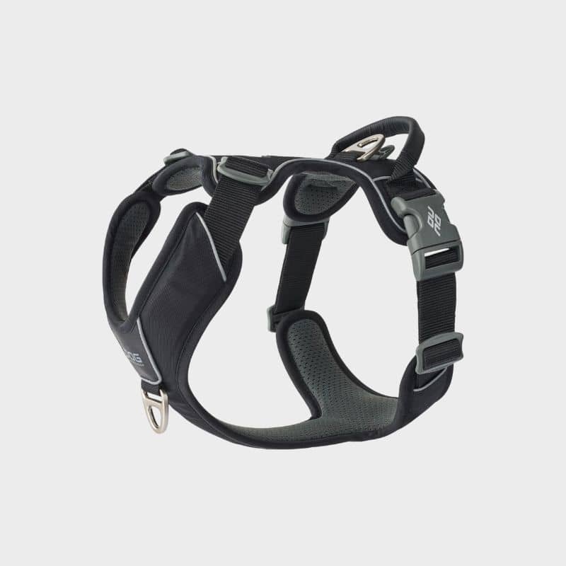 Sele med Comfort Walk Pro ™ hundhandtag - svart *ny design *