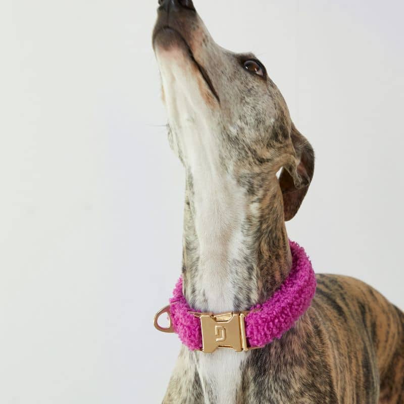 Collana in tessuto per teddy di lampone di teddy fucsia - tendenza e comfort di Dogguo