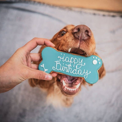 Cake de perro en forma de hueso de cumpleaños - Azul - Artesanía italiana de Dolcimponte