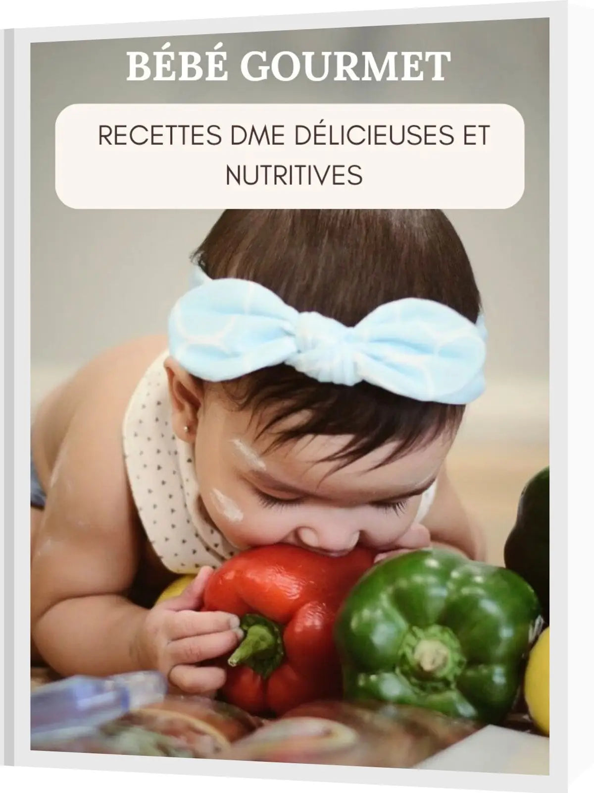 Gourmet baby ebook