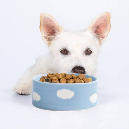 Dog ceramic bowl - Cloud ☁️ (2 sizes available)