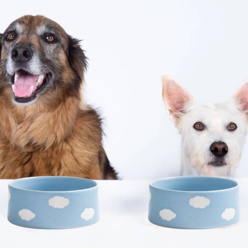 Dog ceramic bowl - Cloud ☁️ (2 sizes available)