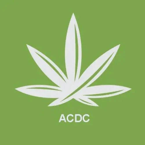 🌿 Fleur de CBD ACDC : Tout Ce Que Vous Devez Savoir - Passeport Cases