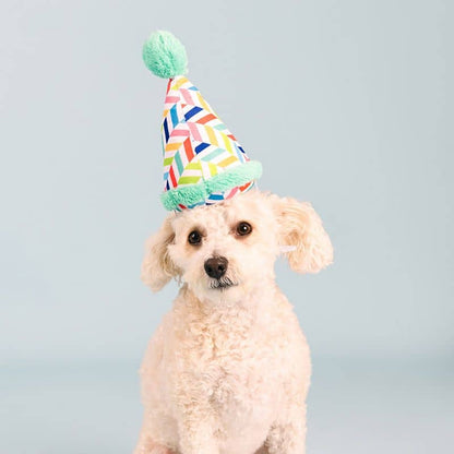 Cappello di compleanno per cani con couineur - giocattolo e costume blu festivo