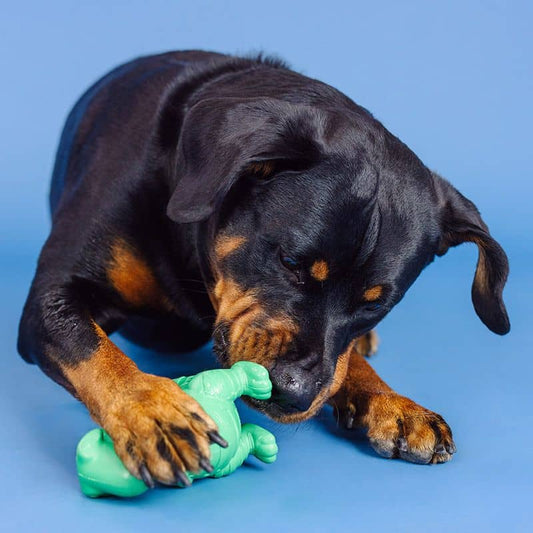 Dog resistant occupation toy - Dinosaur 🦖