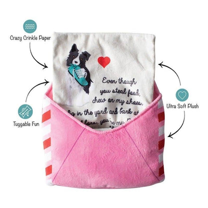 Interactive dog occupation toy - Love letter 💌