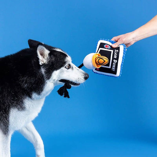 Köpek ipi ile peluş - basketbol baskısı 🏀