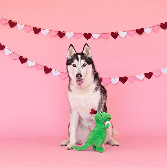 Valentine's Day Plush - Dinosaur with Love Letter 💌