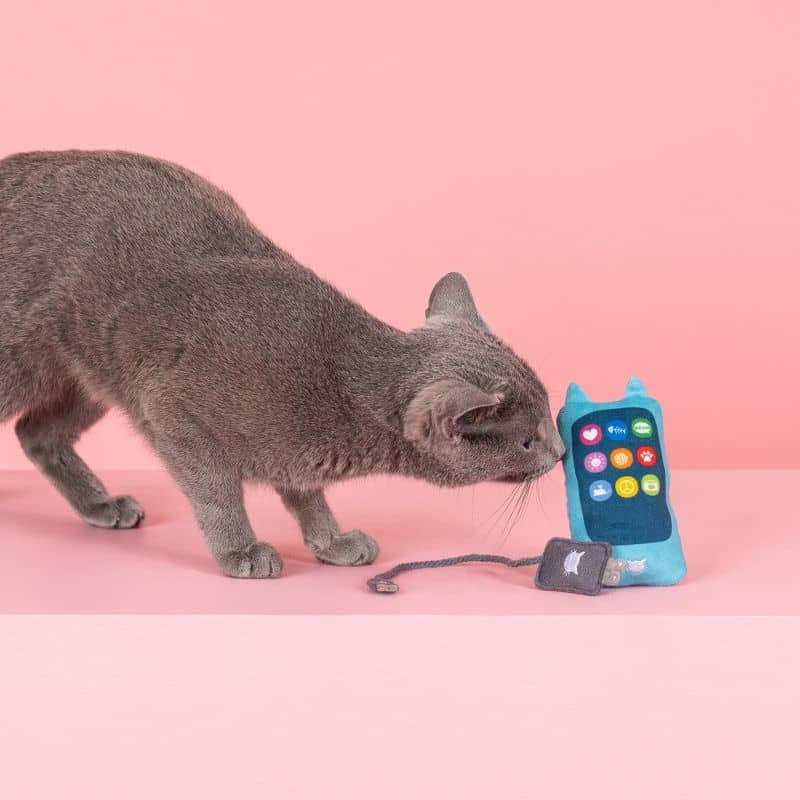 Cat toy "Load up" with cat grass - telephone and interactive charger