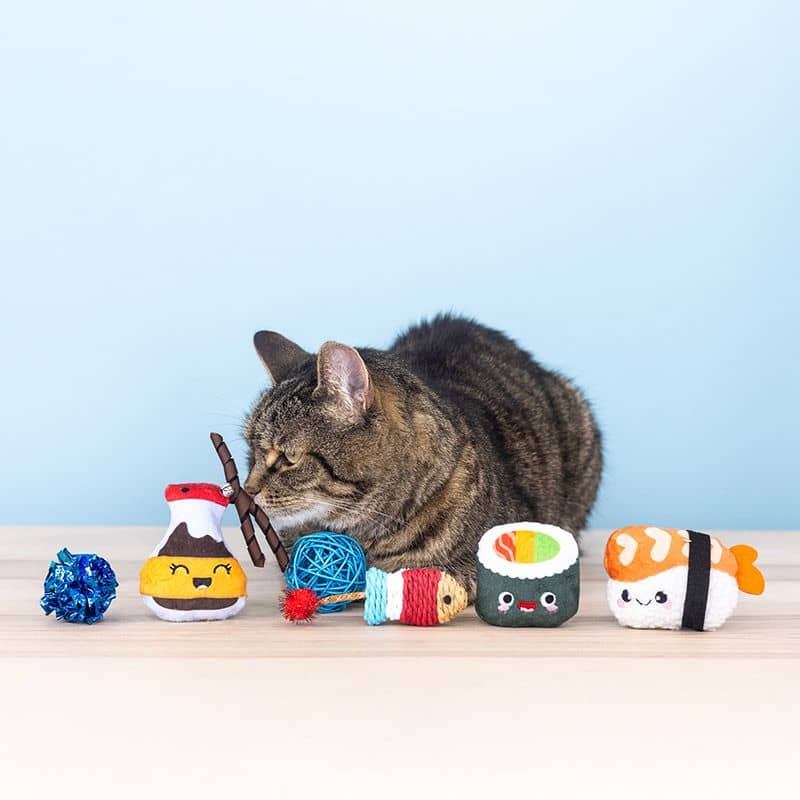 SET DE 6 JOUETS POUR CHAT - JAPAN FOOD 🍣 🍱