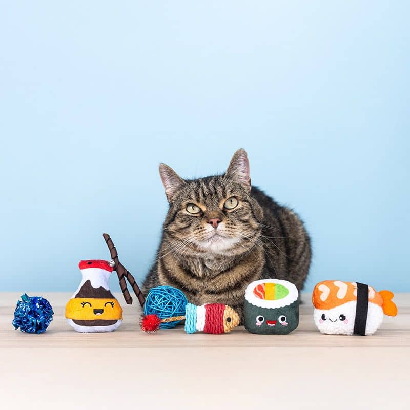 SET DE 6 JOUETS POUR CHAT - JAPAN FOOD 🍣 🍱