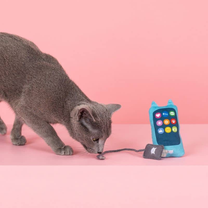 Cat toy "Load up" with cat grass - telephone and interactive charger