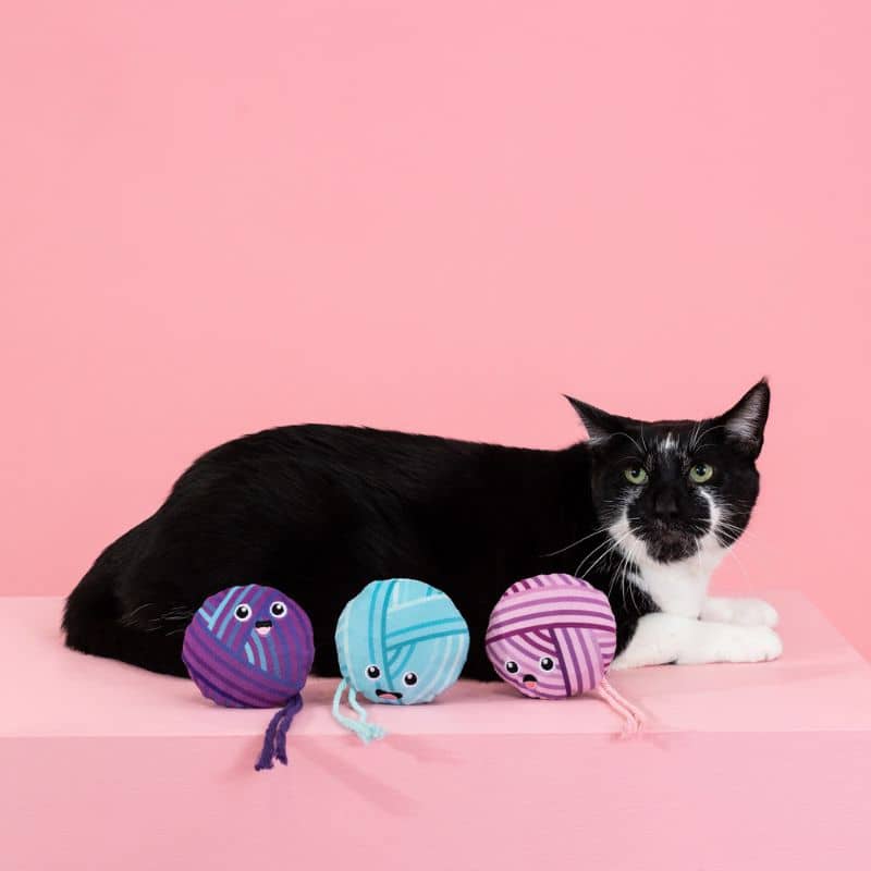 Cat Cat Toy - Woolen Ball 🧶