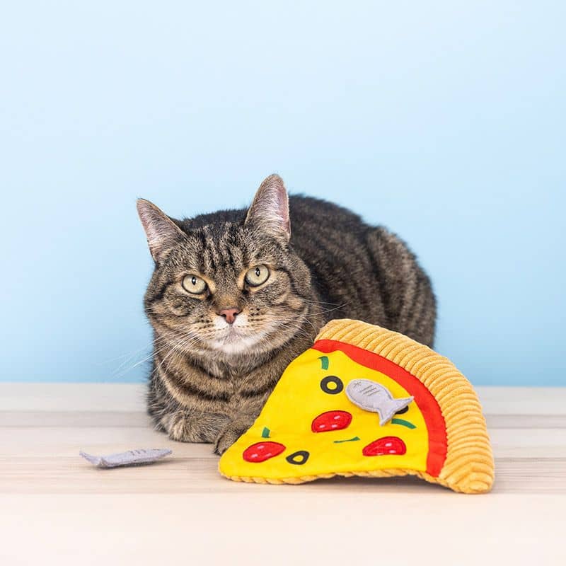 Cat Grass Cat Toy - ansjovis pizza 🍕