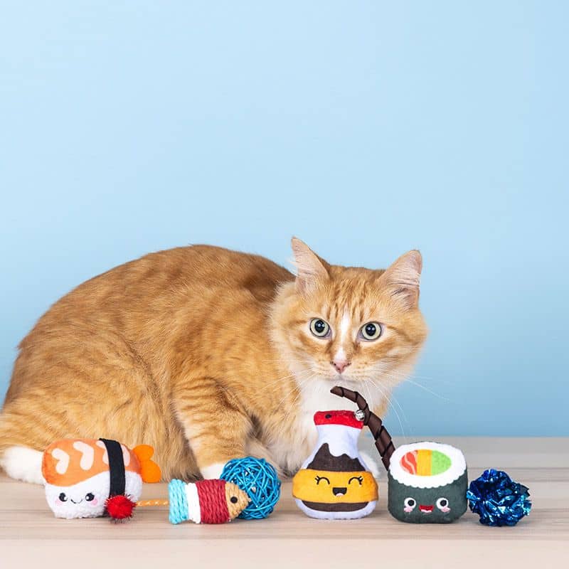 SET DE 6 JOUETS POUR CHAT - JAPAN FOOD 🍣 🍱