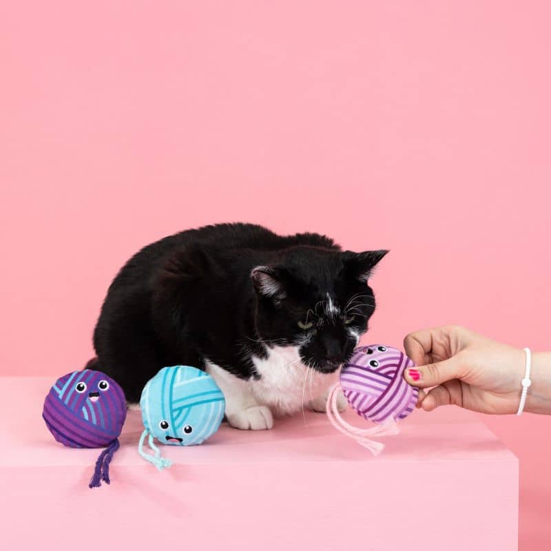 Cat Cat Toy - Woolen Ball 🧶