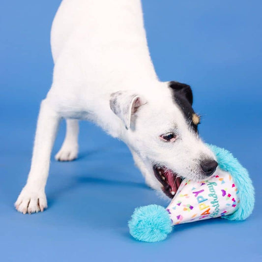 Dog resistant occupation toy - Birthday hat 🥳🎂