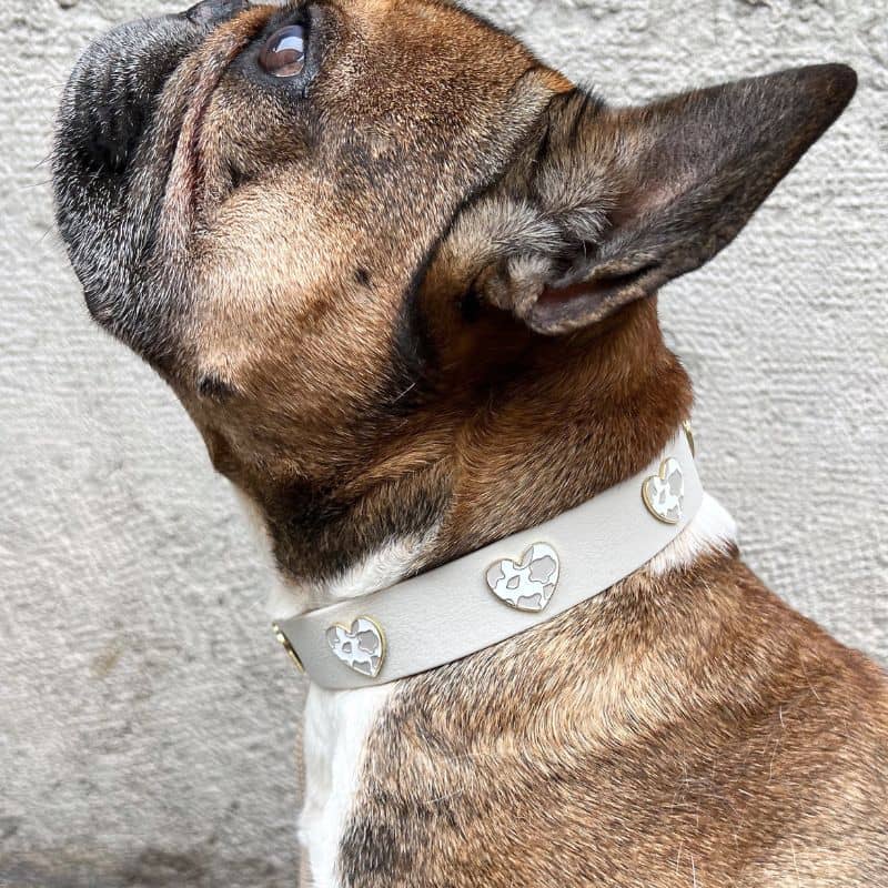 Collar de perros con encantos - Cow Love 🤍