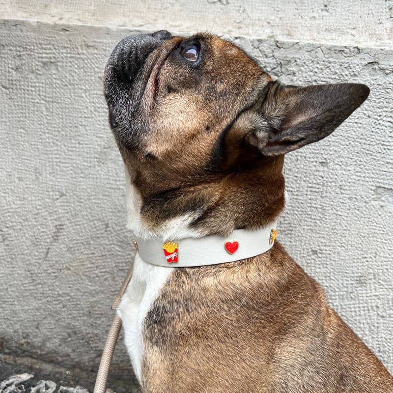 Collar de perros con encantos - Pizza y papas fritas 🍕🍟