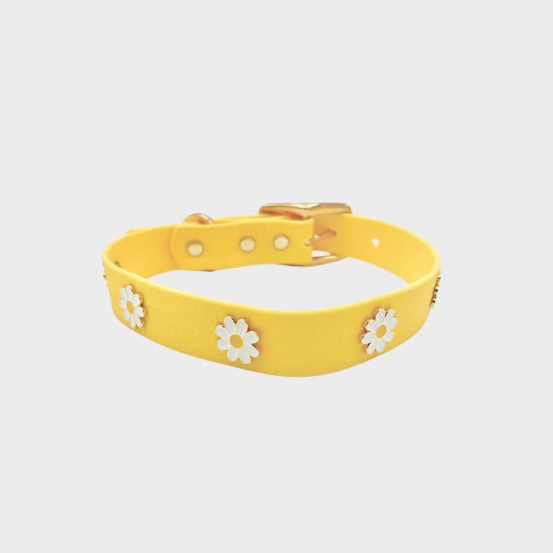 Hondenketting met charmes - Daisy Field 🌼