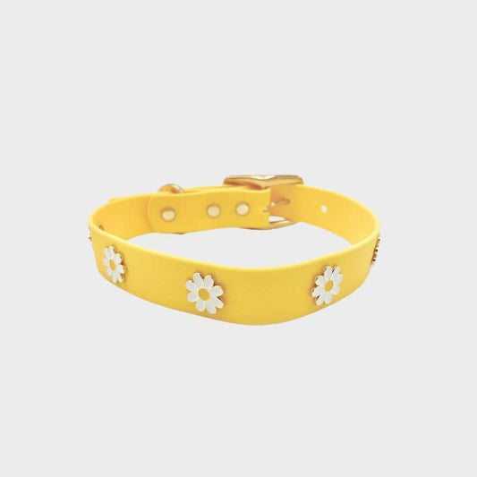 Collar de perros con encantos - Daisy Field 🌼