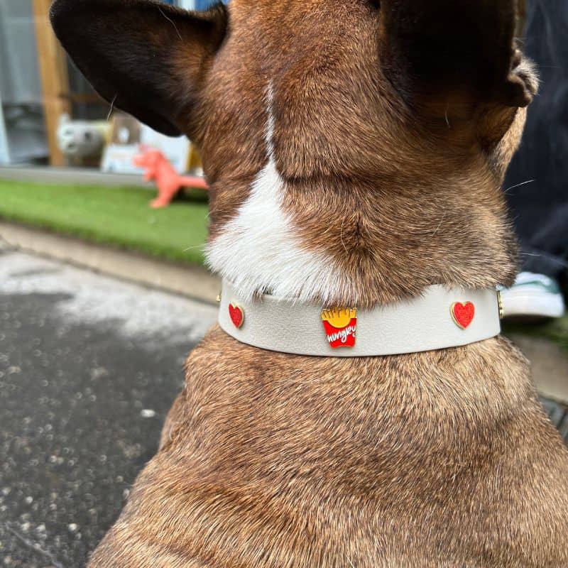 Collar de perros con encantos - Pizza y papas fritas 🍕🍟