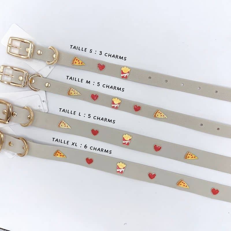 Collar de perros con encantos - Pizza y papas fritas 🍕🍟