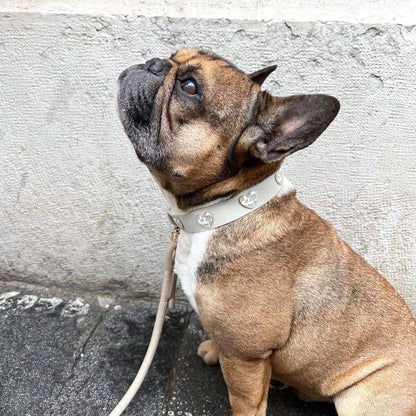 Collar de perros con encantos - Cow Love 🤍