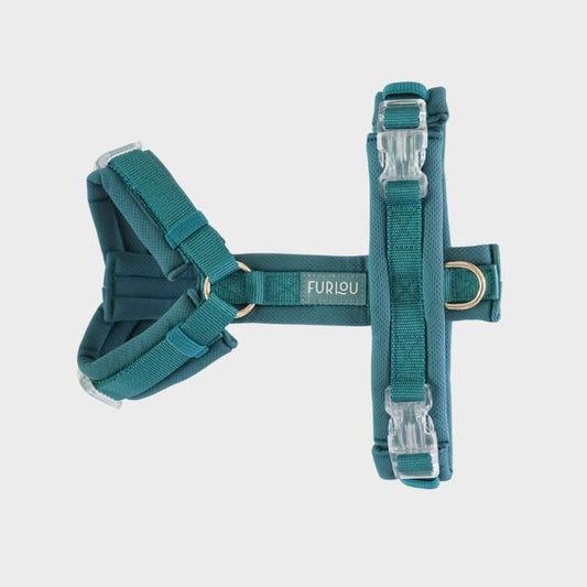 Harnais Comfort H Ultra Léger Bleu Teal pour Chien