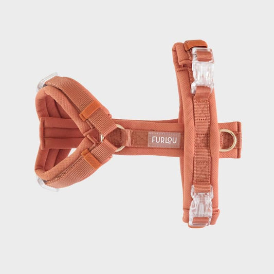 Harnais Comfort en H Ultra Léger pour Chien - Orange Terracotta