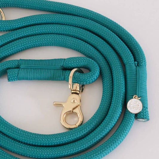 Laisse en Corde Teal pour Chien - Élégance et Solidité