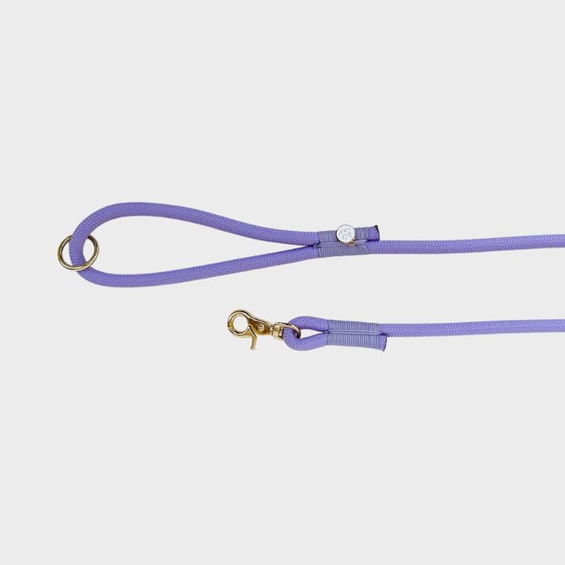 Lasciare in Dog Paracord - Ultra Light e resistente alla lavanda Furlou