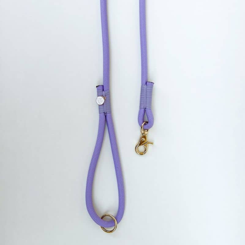 Lasciare in Dog Paracord - Ultra Light e resistente alla lavanda Furlou