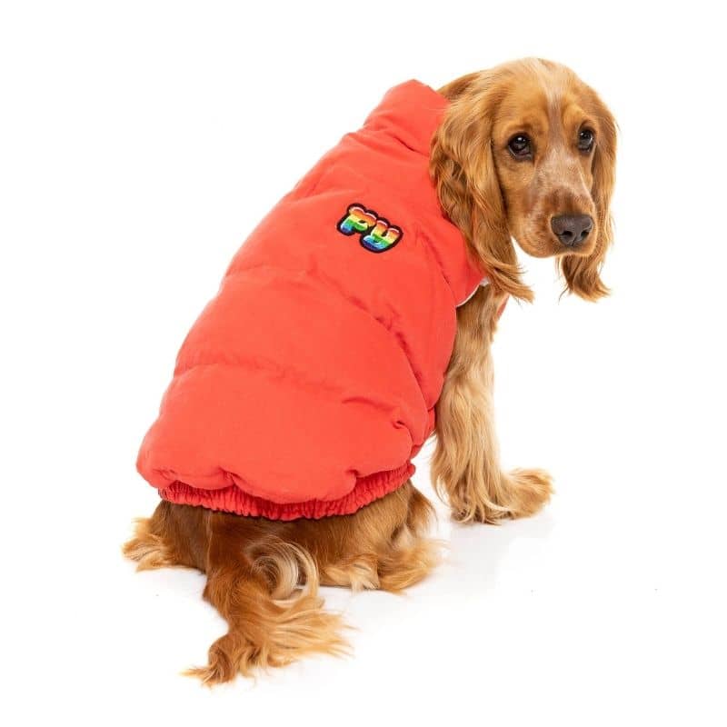 Dog Down Jacket - 90's Coral