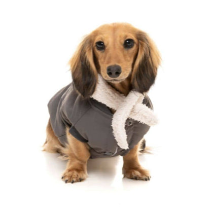 Manteau Bomber Gris pour Chien Fuzzyard