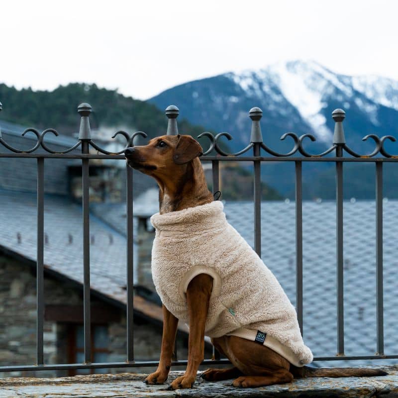 Pulover polar al câinelui - Teddy (maro, verde, gri sau bej)