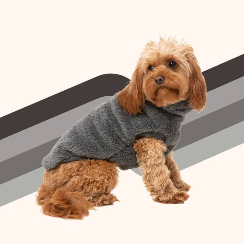 Polaire pour chien en gris anthracite chaude et confortable