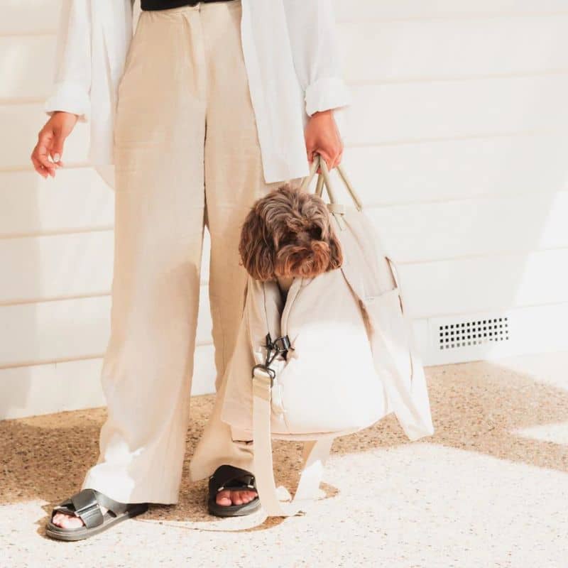 SAC DE TRANSPORT CONVERTIBLE / SIÈGE AUTO POUR CHIEN - GRIS OU BEIGE