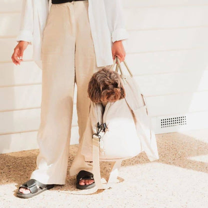 SAC DE TRANSPORT CONVERTIBLE / SIÈGE AUTO POUR CHIEN - GRIS OU BEIGE