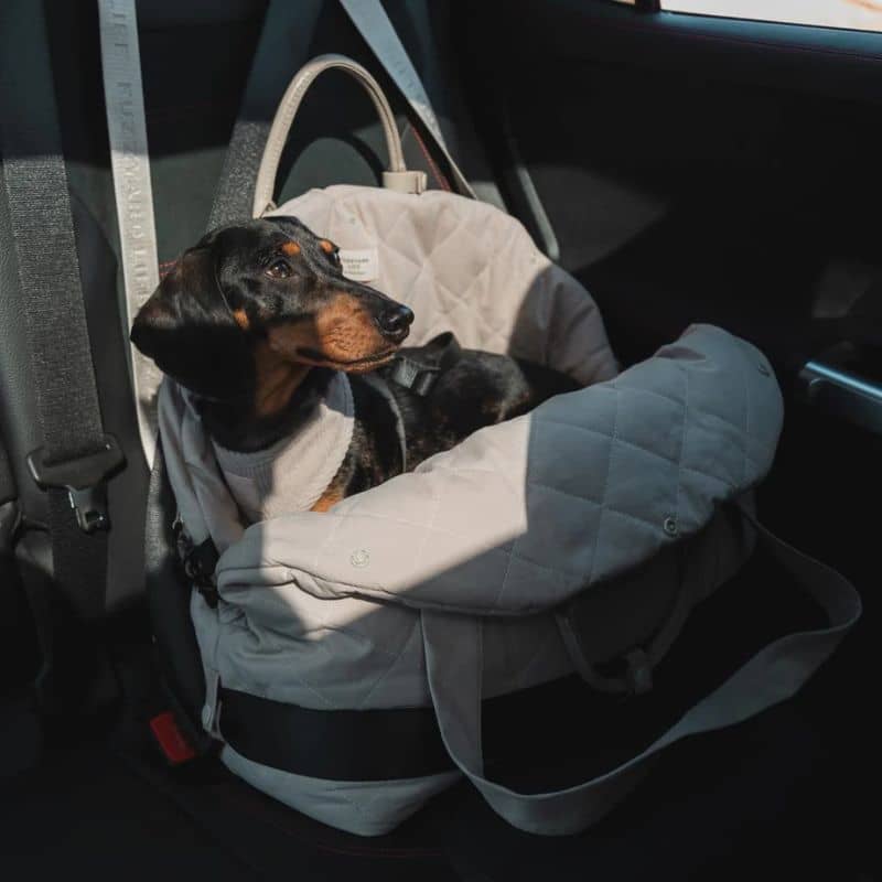 SAC DE TRANSPORT CONVERTIBLE / SIÈGE AUTO POUR CHIEN - GRIS OU BEIGE