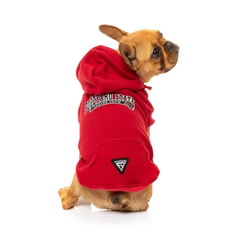 Hoodie in stile Red University - Fuzzyard