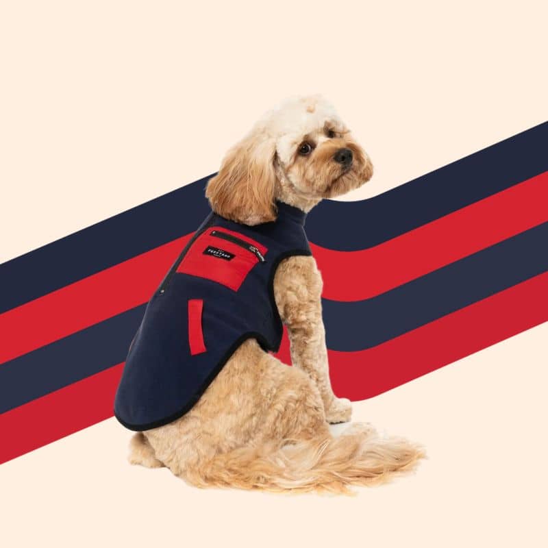 Dog fleece jacket - Fitzroy navy blue